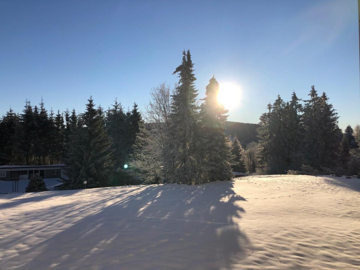 Bocksbergglueck In Hahnenklee, Endreinigung, Bezogene Betten, Handtuecher Inklusive Гослар Экстерьер фото