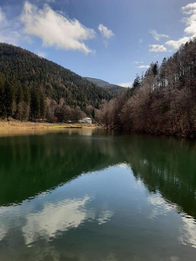 Bocksbergglueck In Hahnenklee, Endreinigung, Bezogene Betten, Handtuecher Inklusive Гослар Экстерьер фото