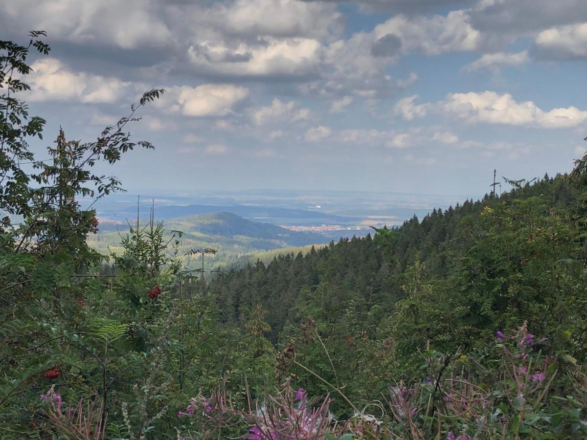 Bocksbergglueck In Hahnenklee, Endreinigung, Bezogene Betten, Handtuecher Inklusive Гослар Экстерьер фото